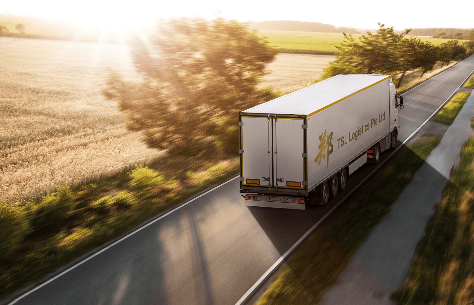 Navigating Singapore's Regulations: A Guide to Transporting Dangerous Goods Safely